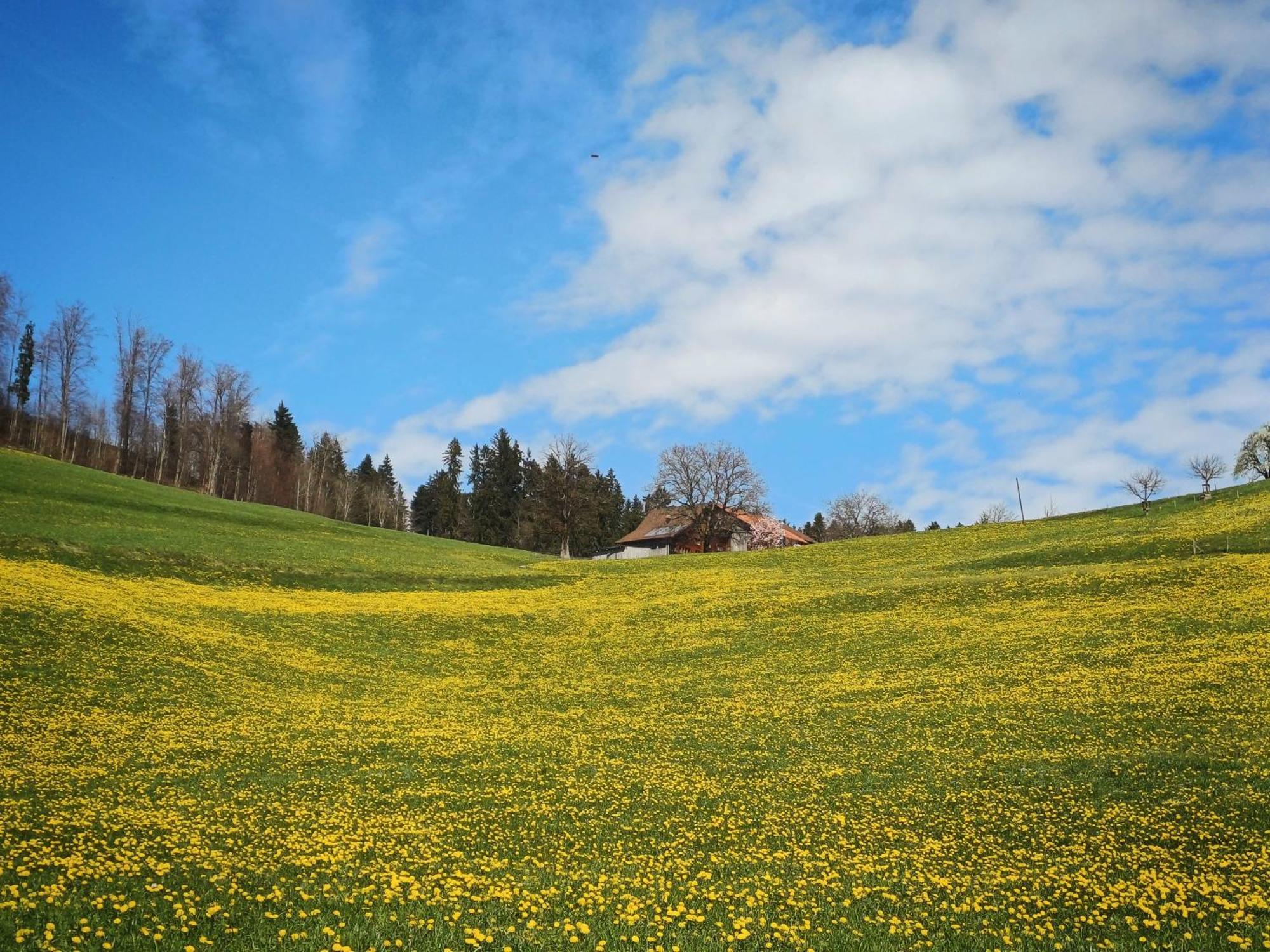 Lilalila Lodge Flawil Buitenkant foto